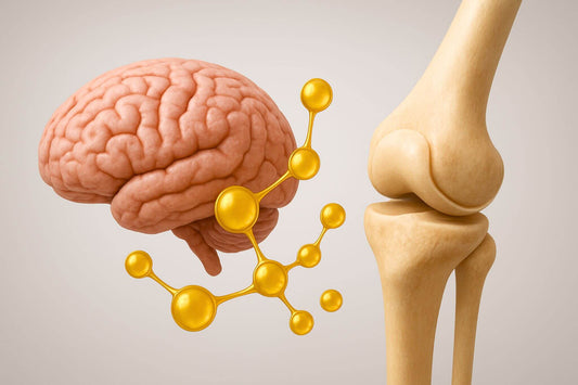 Elevating Brain & Mobility Health: Insights from a Landmark Plasmalogen Study by Dr. Goodenowe