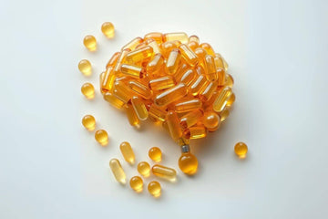 Omega 3 vs Omega 6 vs Omega 9 Plasmalogens: Which “Super Fats” Does Your Brain Actually Need