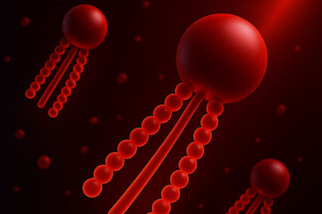 Plasmalogens - The Unsung Lipids Powering Your Cells