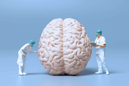 Your Brain Is Built on Fat, Here’s Why That Matters More Than You Think