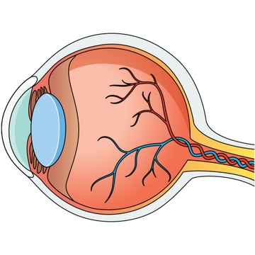 Plasmalogens